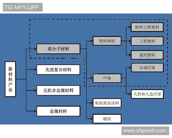 深入解析上海羽毛球队实力表现与发展趋势的综合数据分析报告