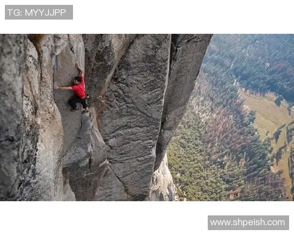 攀岩深度解析武汉攀岩队的区域防守策略与训练方法