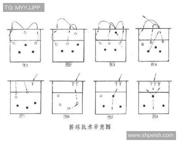 深圳排球队防反战术分析及其在比赛中的得失表现探讨