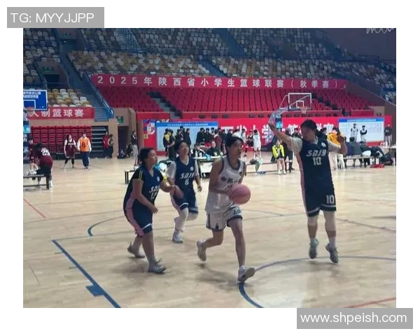 聚焦篮球：西安篮球队的团队协作话题