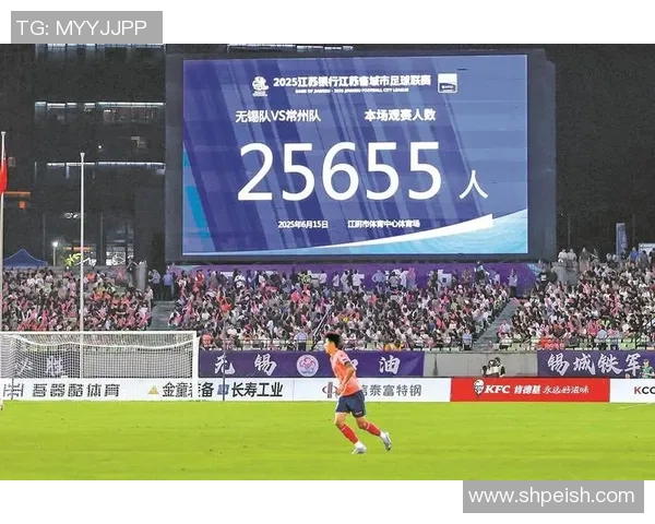 足球明星脸在中国的影响力与球迷文化的深度融合探讨