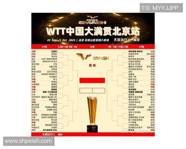 北京乒乓球队转型之路的挑战与机遇全面解析大满贯特别报道