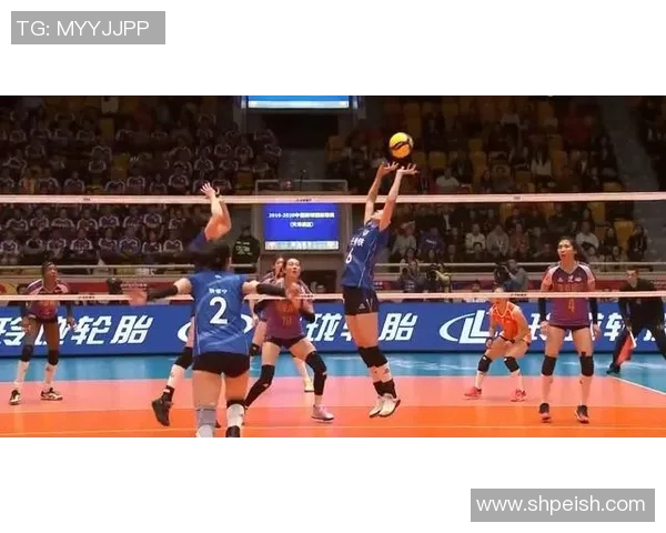 南京排球队的节奏与魅力探讨聚焦排球运动的未来发展与挑战